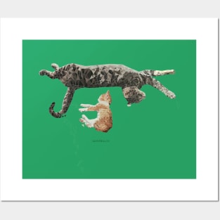 Kitten Nap Posters and Art